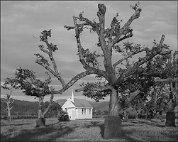 chapel in the Field